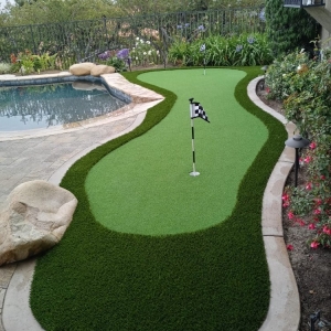 Photo of Waterless Turf