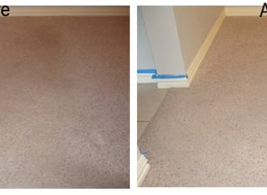 Photo of San Jose Dry Carpet Cleaning