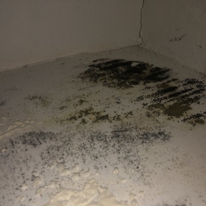 Photo of Meridian Property Management