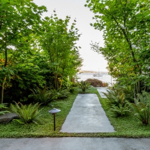 Photo of Cambium