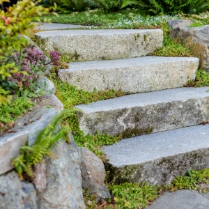 Photo of Cambium