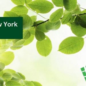 Photo of Stock Environmental Consulting