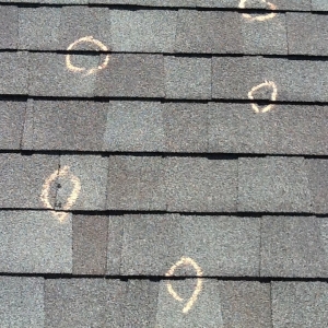 Photo of Restructure Roofing and Contracting