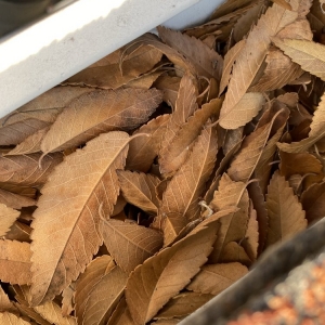 Photo of Gutter Guru