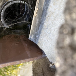 Photo of Gutter Guru