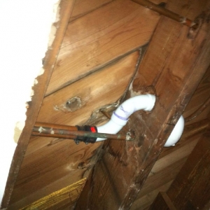 Photo of Affordable Plumbing