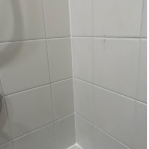 Photo of The Grout Man