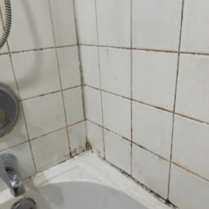 Photo of The Grout Man