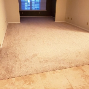 Photo of Affordable Carpet & Blinds