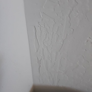Payson Northern Arizona Drywall