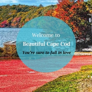Photo of Lisa C Parenteau - REALTOR on Beautiful Cape Cod