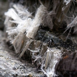 Photo of Quantum Restoration Services
