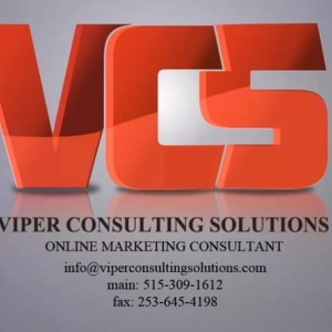 Photo of Viper Consulting Solutions