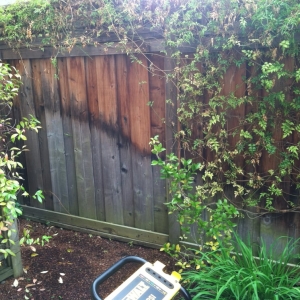 Photo of Professional Power Washing