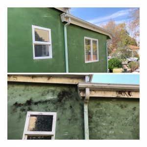 Photo of S&N Pressure Washing