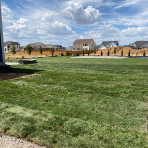 Photo of Cedar Valley Services