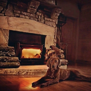 Photo of Country Oak & Stoves