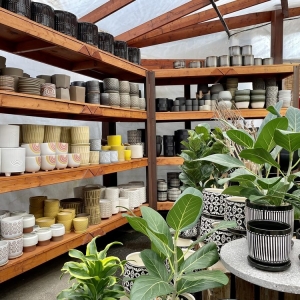 Photo of Sunnyside Gardens