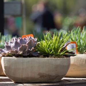 Photo of Sunnyside Gardens