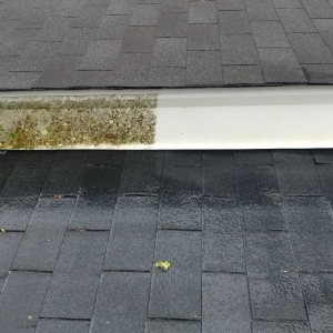 Photo of Full Throttle Power Washing