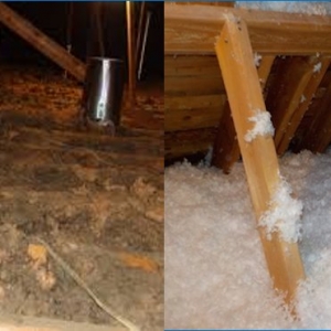 Photo of American Insulation