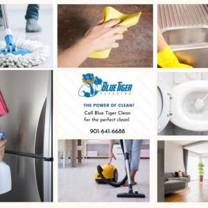 Photo of Blue Tiger Cleaning