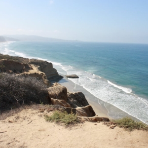 Photo of Shauna Harrel - Coastal Premier Properties