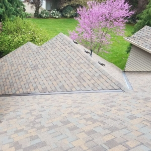 Portland Tonys Roofing