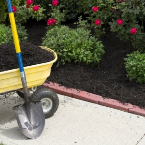Photo of M&T Landscaping and Development