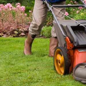 Photo of M&T Landscaping and Development