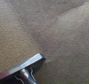 Photo of A Step Above Carpet and Flooring Care