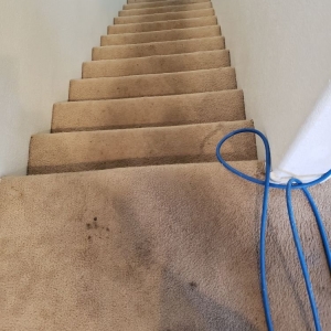 Photo of Las Vegas Steam Cleaning