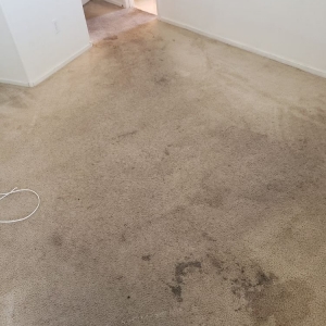 Photo of Las Vegas Steam Cleaning
