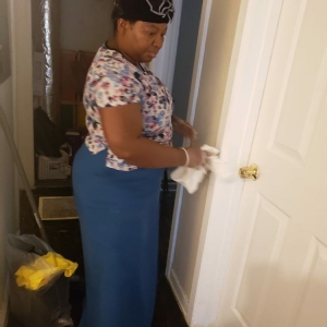 Photo of Wisdom Cleaning Services