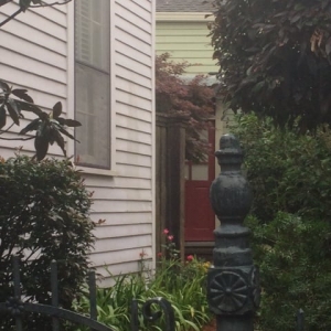 Photo of Charlotte Link - Latter & Blum