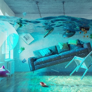 Photo of 411 Water Removal Services