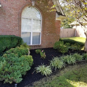 Photo of All Memphis Lawn Service