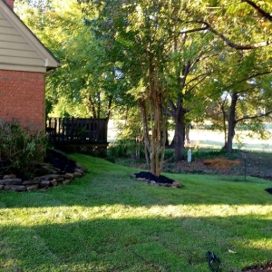 Photo of All Memphis Lawn Service