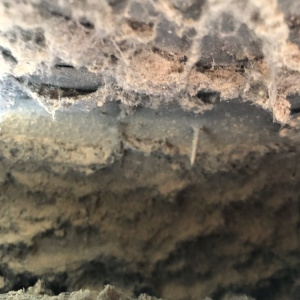 Photo of Lowe's Air Duct Cleaning