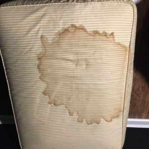Photo of Big Ricks