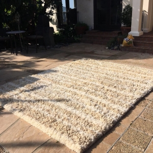 Photo of Rob's Organic Carpet Cleaning