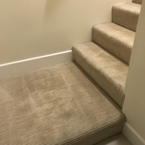 Photo of Rob's Organic Carpet Cleaning