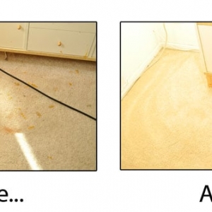 Photo of Rob's Organic Carpet Cleaning