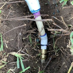Photo of Texas Roots Landscape & Irrigation