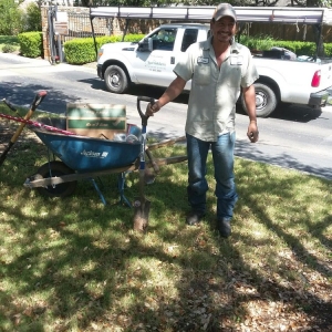 Photo of Texas Roots Landscape & Irrigation