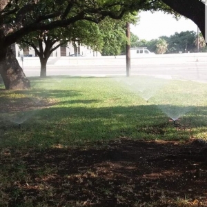 Photo of Texas Roots Landscape & Irrigation