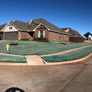 Photo of Reed Lawncare