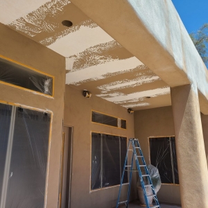 Photo of Domar Painting