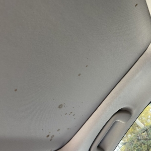 Photo of The Detail Guys