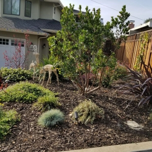 Photo of San Carlos GardenWorks